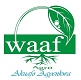 WAAF Logo