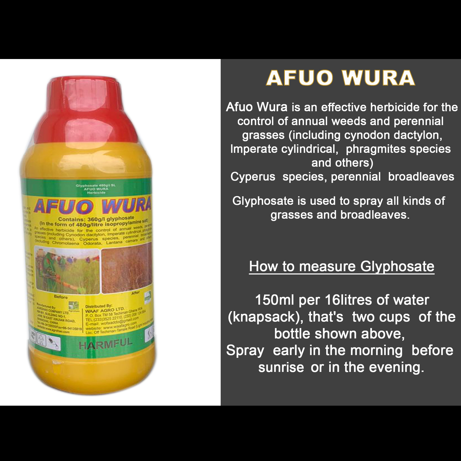 Afuo Wura Yellow Afuo Wura Yellow