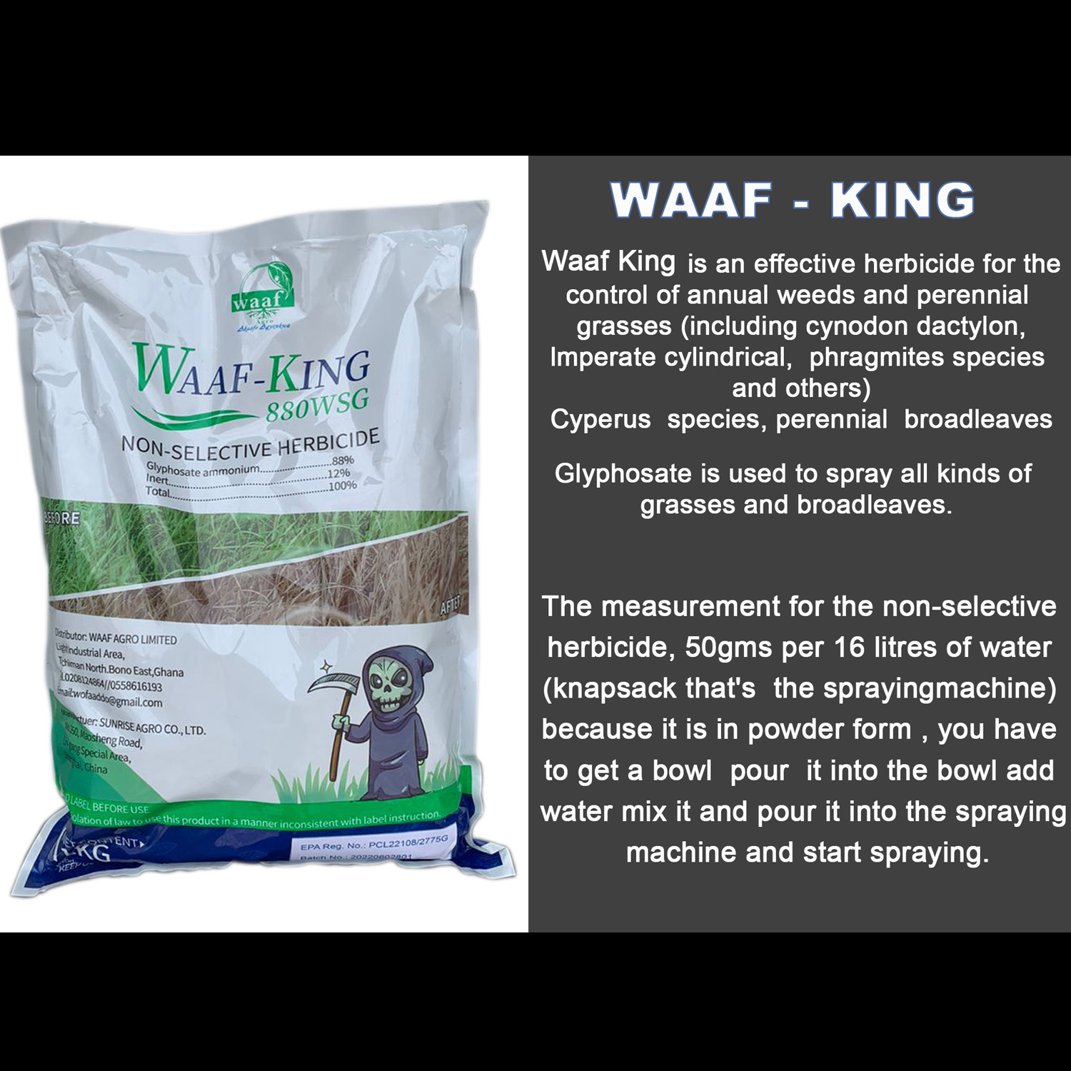 Waaf King sht Waaf King sht