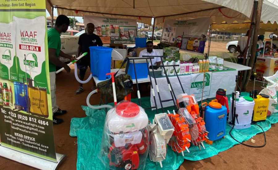 feed gh local 7 copy